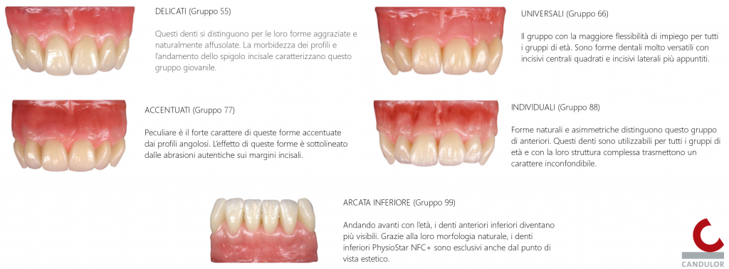 Candulor NFC Physiostar forme anteriori