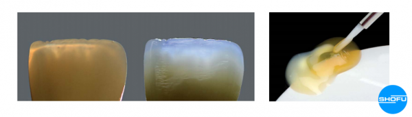 Composito - Ceramage Up Dentina - SHOFU - immagine 4