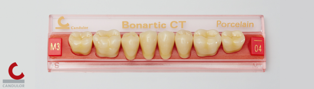 Candulor CT Bonartic Porcellana posteriori montaggio fisiologico